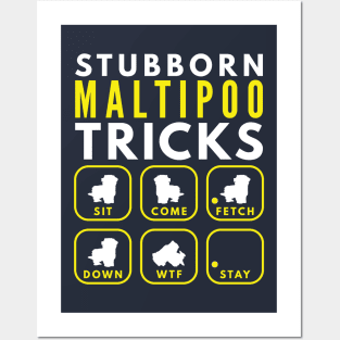 Stubborn Maltipoo Tricks - Dog Training Posters and Art